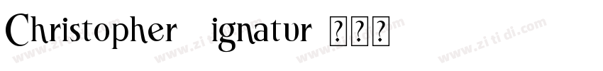 Christopher Signatur字体转换